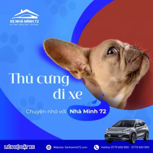 Thú Cưng Đi Xe Khách – Chuyện Nhỏ Với Xe Nhà Mình 72!